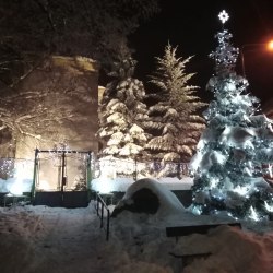 Rozsvícení vánoční stromu 2023 3