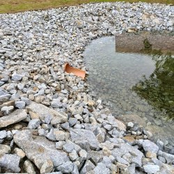 vodni-nadrz-chroustov 2 vodni-nadrz-chroustov 2